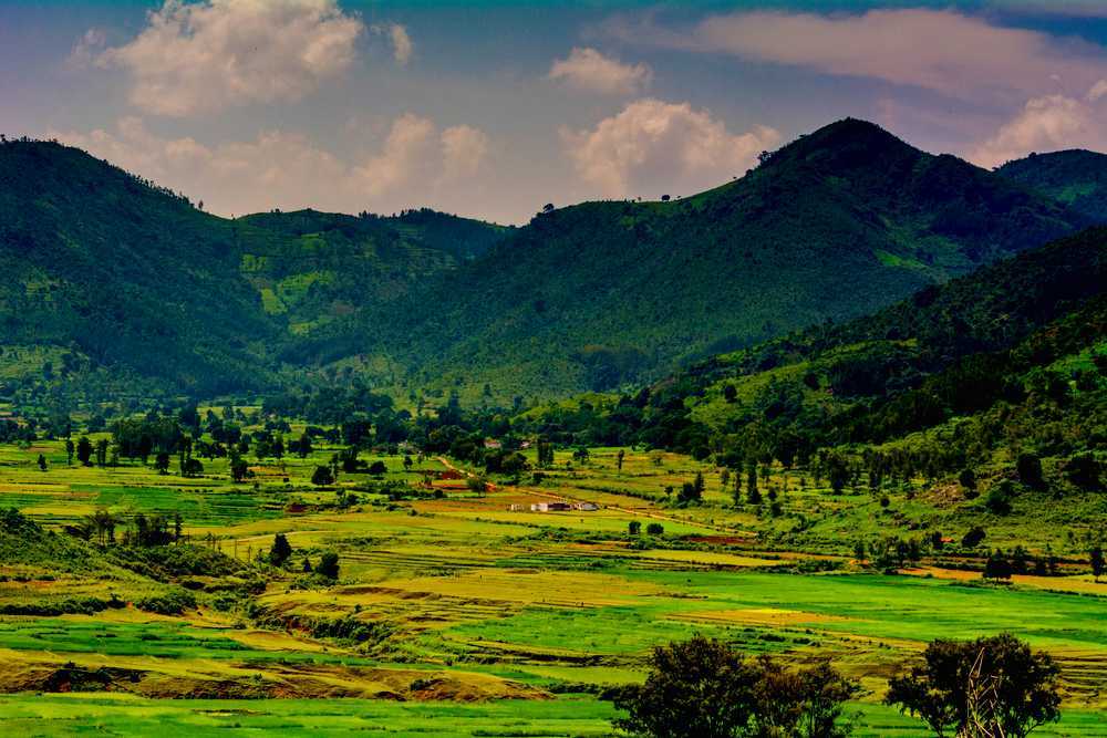 ARAKU-VALLEY